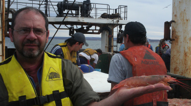 Empresas pesqueras financiarán campaña de relevamiento del  langostino patagónico