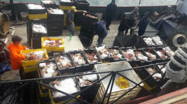 Crecen las descargas de centolla en el puerto de San Julián