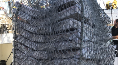 Se descargaron 30 mil toneladas de calamar por el muelle de Puerto Deseado