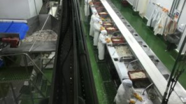 Rusia habilitó la importación de 25 nuevas empresas pesqueras argentinas