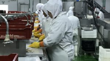 Trabajadores del STIA logran importante acuerdo salarial  