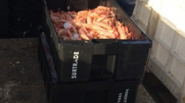 Piden transparencia en el manejo del cupo social de langostino