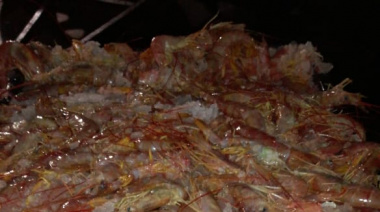 Suspenden el despacho a la pesca por 15 días a 11 buques que operaban en Camarones