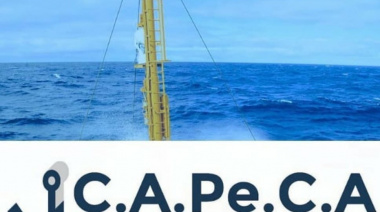 CAPECA lanzó su nueva pagina web
