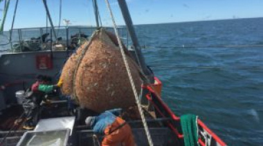 Chubut anunció el cierre de la pesca del langostino