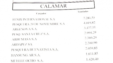 Crecieron las exportaciones de calamar por el puerto deseadense