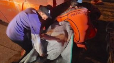 Trasladaron a una clínica de Caleta Olivia al marinero que se accidentó al caer de buque de Newsan