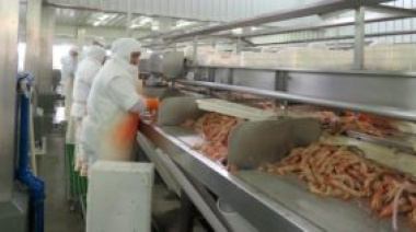 Por la gran cantidad de langostino fresco Vieira Argentina comenzó a trabajar en dos turnos