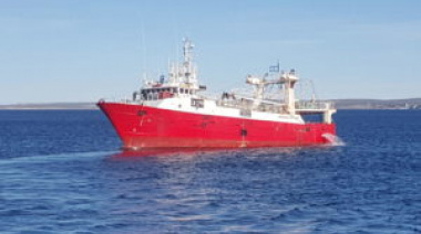 Langostino: Tras el pedido de Capeca hoy el Consejo autorizaría una prospección al sur