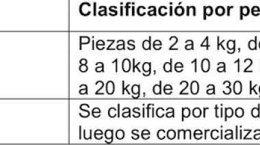 Se difunden requisitos esenciales para evitar problemas de calidad en la merluza negra