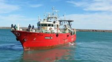 Langostino: Por la gran cantidad de merluza no habilitarán la pesca al sur