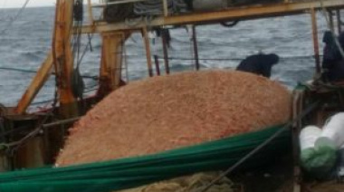 El 15 de octubre se cierra la pesca del langostino