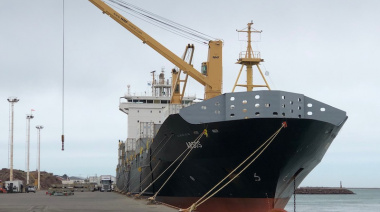 Estibadores impiden la exportación de contenedores de varias empresas 
