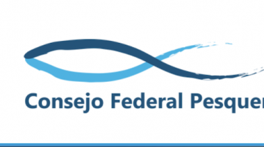 Hoy reanuda sus sesiones el Consejo Federal Pesquero