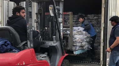 Cerca de la mitad de las exportaciones de calamar efectuadas por el puerto deseadense fueron a China