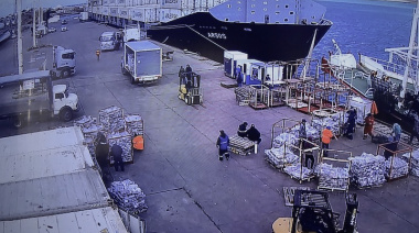 Ya se descargaron 10 mil toneladas de calamar por el puerto deseadense