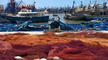 El sector pesquero europeo pide a la CE medidas urgentes para afrontar el impacto del coronavirus