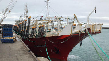 Poteros de Argenova llevan capturadas 4.500 toneladas de calamar