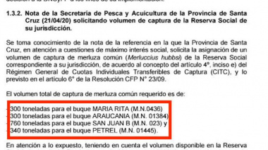 Estibadores de Caleta Paula amenazan con cortar el puerto si no retornan los buques que se fueron a Chubut