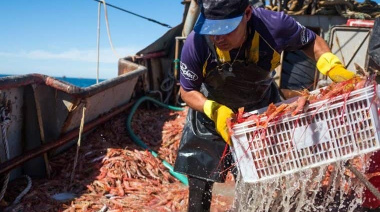 El 16 de octubre se cierra la pesca del langostino en la zona de veda, pero los buques podrán seguir pescando en el 41º