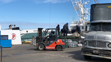 Preocupación en el puerto deseadense: tres estibadores dieron positivo de Covid-19