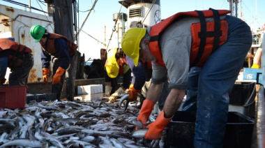El INIDEP inició campaña de evaluación de juveniles de merluza en el Golfo San Jorge