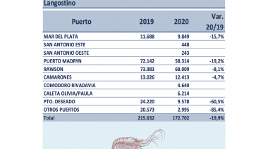 Deseado cerró un año negro en materia de descargas de langostino