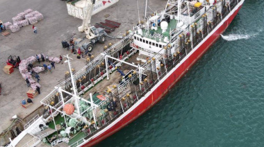 El Villarino descargó 750 toneladas de calamar y ya zarpó a su segunda marea