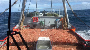 Este sábado arranca la pesca del langostino al norte