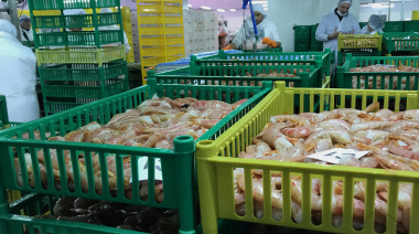 Arbumasa selló un acuerdo para el proceso de langostino en tierra que generará 400 nuevos puestos de trabajo en Puerto Deseado