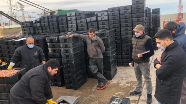 Julián Suárez y el cuerpo de inspectores fiscalizaron descargas de langostino en el puerto de Camarones