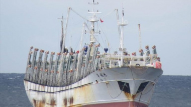 China suspenderá la pesca de calamar en zonas de cría del  Atlántico y el Pacífico