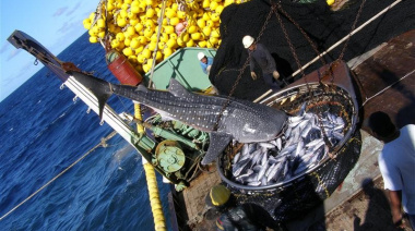 Cita mundial en la OMC para impulsar un acuerdo sobre los subsidios a la pesca