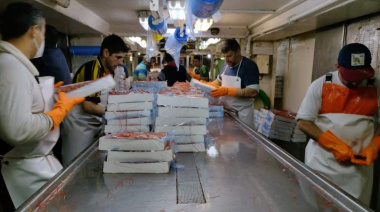 Pesca de langostino: Se abrió una nueva subárea