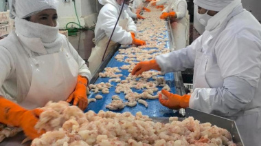 Ecoprom amplió su producción de langostino y sigue apostando a la merluza