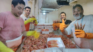 Capturas record de calamar Illex  y Loligo en Malvinas