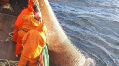 Por incremento en la relación merluza/langostino cierran otra subárea