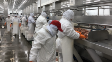 Cerca de 500 trabajadores quedaron desocupados tras la finalización de la temporada de langostino fresco en las plantas de Deseado