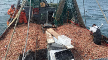 Temporada de langostino en Rawson: Diputada sospecha que dos barcos estarían pescando sin permiso
