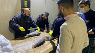 Crean la Unidad de Seguimientos Especiales Pesqueros