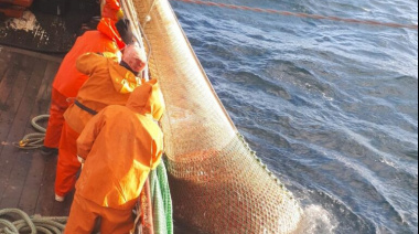 Langostino : Informan sobre campaña de investigación en aguas de Chubut