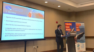 En Boston CAPA anunció el inicio del proceso de certificación del calamar argentino