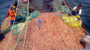 Langostino: Se difundió la lista de buques que participarán de la prospección
