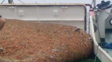 Comenzó la pesca de langostino en aguas nacionales para toda la flota