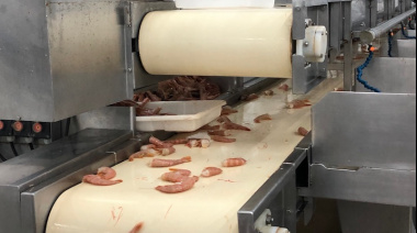 Dos establecimientos pesqueros ya procesaron 18 mil cajones de langostino fresco