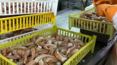 La Subsecretaría de Pesca y Acuicultura emite el primer Certificado de Captura Legal Digital