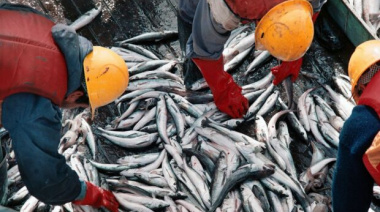 Argentina y Uruguay acuerdan veda temporal a la pesca de merluza