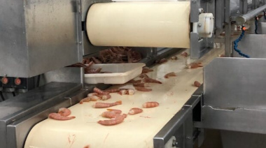 Aguilar dijo que se está descargando menos langostino en Chubut