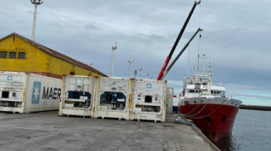 Aseguran que las descargas por el puerto local de langostino y merluza hubbsi  tuvieron un importante crecimiento respecto al año pasado