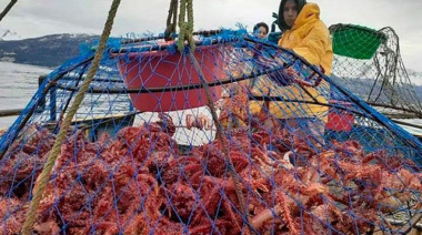 Newsan se suma pesca experimental de Centolla con un fresquero de 2.500 trampas